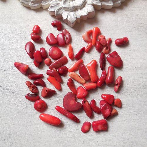 20 gr de perles pierres chips corail rouge