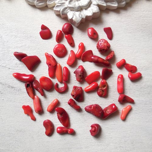 20 gr de perles pierres chips corail rouge