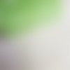 480 cm de tulle rigide vert moucheté blanc