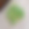 5 gr de micro paillettes étoiles vertes