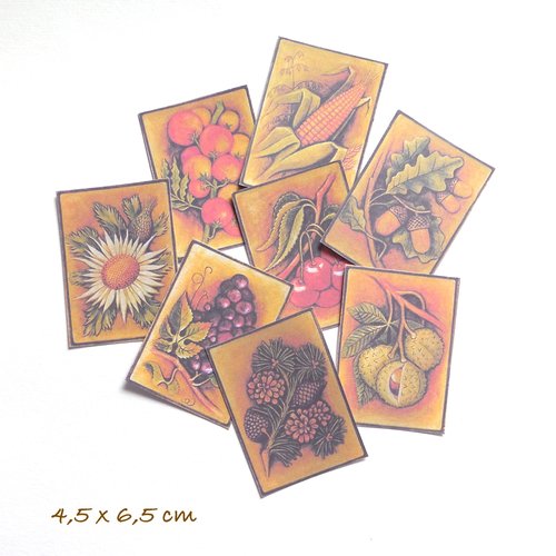 8 découpes cartes scrapbooking - thème les saisons fruits et fleurs