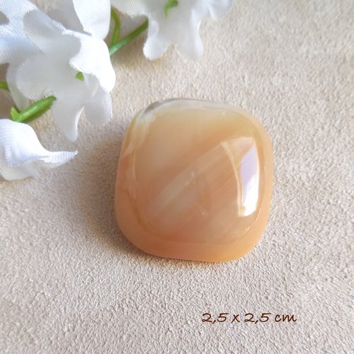 Gros bouton nacre naturelle 25 mm