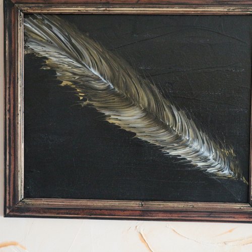 Cadre "plume"