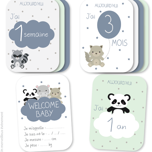Cartes Etapes Bebe Carte Souvenirs Premiere Annee Cadeau De Naissance Un Grand Marche