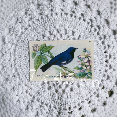 Transfert textile motif oiseau bleu