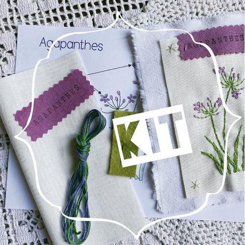 Kit complet agapanthes