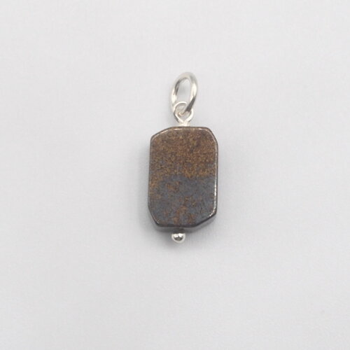 Pendentif gaïd bronzite pour homme argent massif