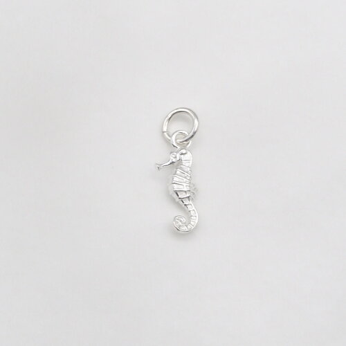 Pendentif dural hippocampe argent massif