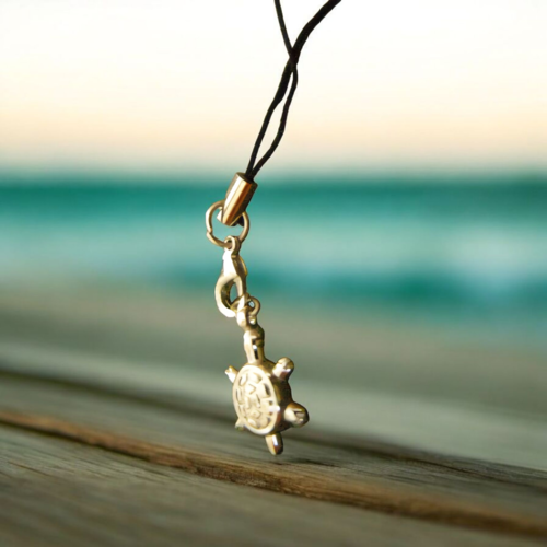 Bijou dragone, tortue
