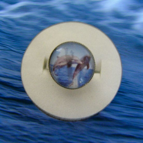 Bague adulte cabochon, dauphin