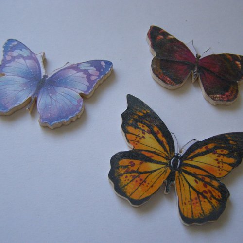 Motifs en bois, papillons