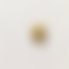 Cabochon oval ambre à motif  13 x 18 mm 