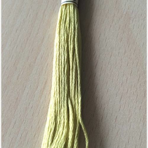 Dmc mouliné 165  vert mousse pâle  six brins 