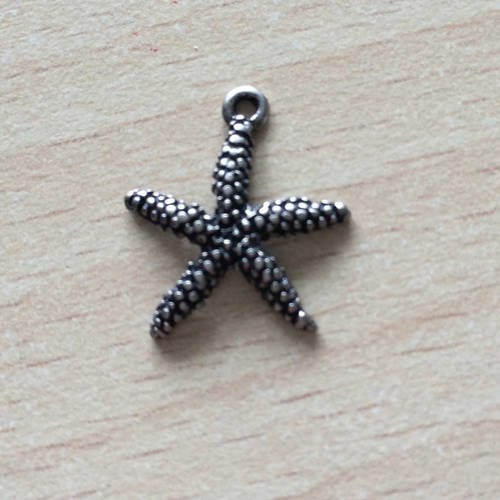 L'étoile de mer le charmes en métal argenté 