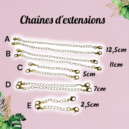 Chaînes d'extensions