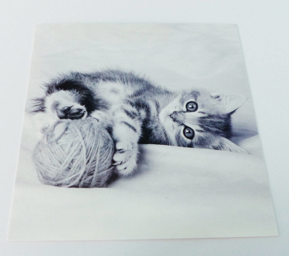 Carte Carre Chat Chaton Avec Pelote De Laine En Noir Et Blanc Un Grand Marche Carte Carre Chat Chaton Avec Pelote De Laine En Noir Et Blanc Un Grand Marche
