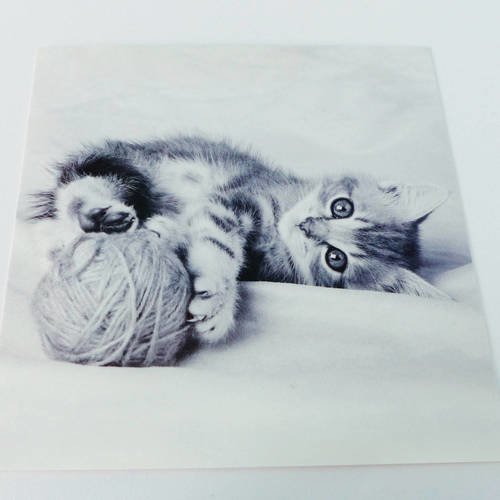 Carte carré chat chaton avec pelote de laine en noir et blanc