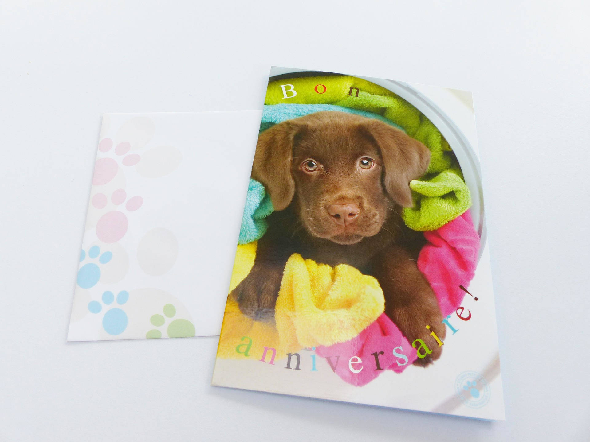 Carte Bon Anniversaire Petit Chien Chiot Carte Double Avec Enveloppe Un Grand Marche