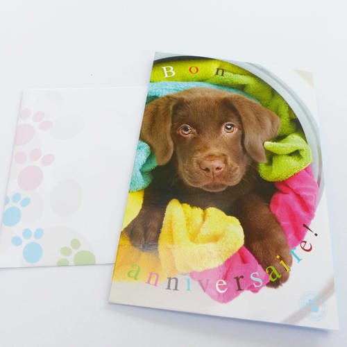 Carte Bon Anniversaire Petit Chien Chiot Carte Double Avec Enveloppe Un Grand Marche