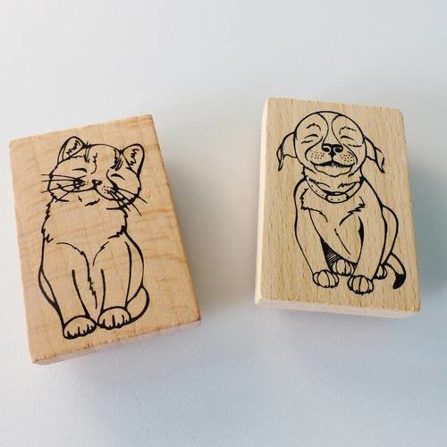 Chien Et Chat Chiot Et Chaton Personnages Dansent Le Ballet