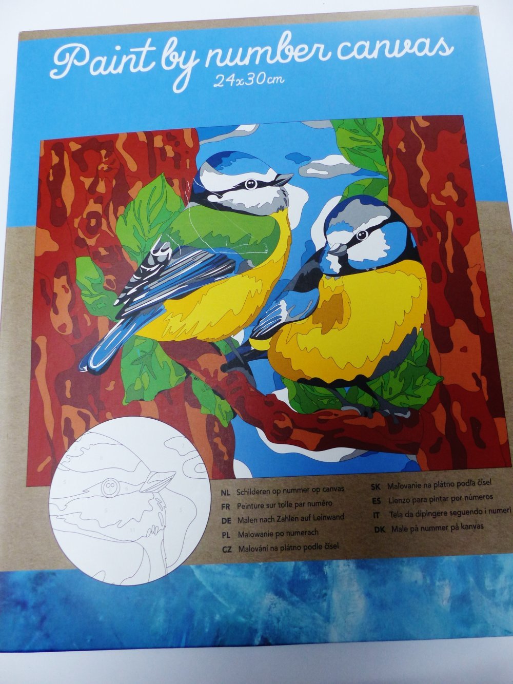 Kit Peinture Sur Toile Par Numero Oiseau Toile 24 X 30 Cm Pinceau