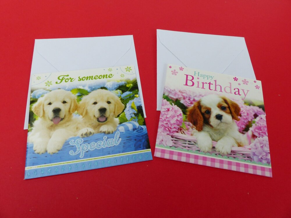 2 Mini Cartes Chien Chiot Anniversaire Happy Birthday Et For Someone Special Petite Carte Double Avec Enveloppe Un Grand Marche