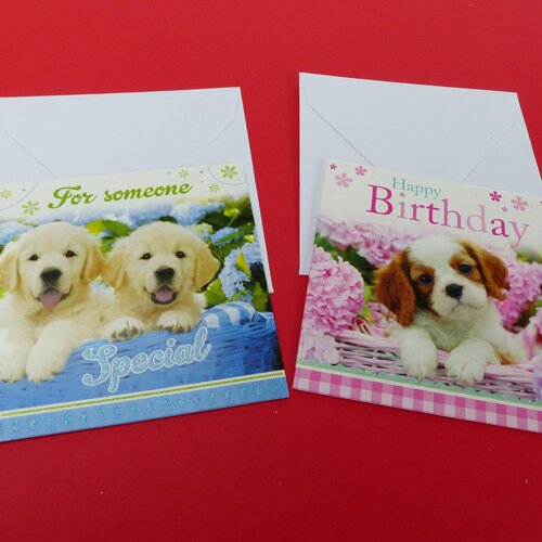 2 Mini Cartes Chien Chiot Anniversaire Happy Birthday Et For Someone Special Petite Carte Double Avec Enveloppe Un Grand Marche