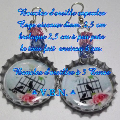 Boucles d'oreille capsule avec image cage oiseaux, breloque avec perles violet et rose en acrylique 