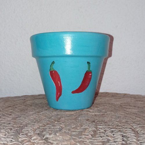 Pot de fleur en terre cuite peint à la main peinture acrylique pot de plante été piments cache pot cadeau original décoration de jardin