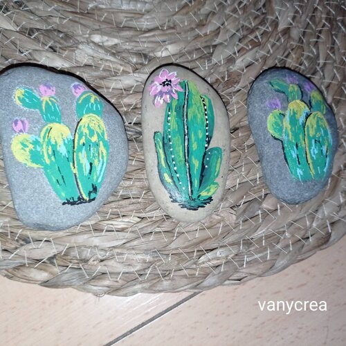 Galet peint sur pierre galet cactus fait main peinture sur galet cactus nature plante fleurs pierre caillou