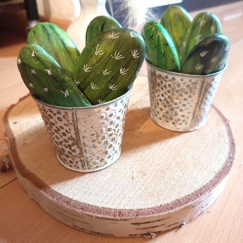 Galets peints galet cactus pierre peinte à la main cactus fleur cailloux peints décoration cadeau fête des mères