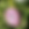 Galet fleur peint à la main cailloux pierre peinture sur galet fleurs décoratif floral cadeau déco de jardin