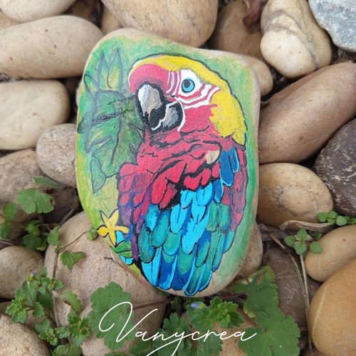 Galet perroquet animaux galet peint pierre peinte à l'acrylique animaux perroquet