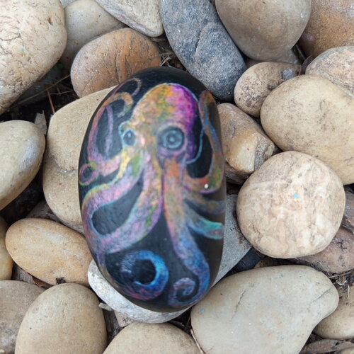 Galet peint à la main poulpe cailloux mer pierre peinture sur galet animaux pierre unique