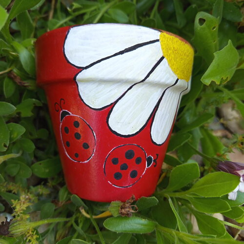 Pot de fleur en terre cuite peint la main pot décoré pot coccinelle customisé pot argile jardin cadeau fête pot peint terracota
