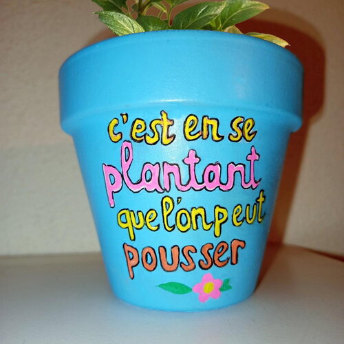 Pot de fleur en terre cuite peint à la main cache-pot humour cadeau cache pot plante extérieur intérieur pot décoré décoration pot