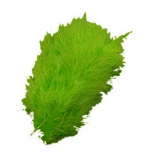 20 plumes décoratives menthe - 10 cm environ.