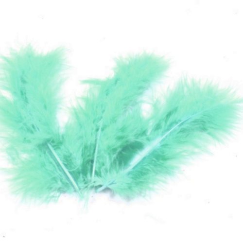 20 plumes décoratives jade - 10 cm environ.