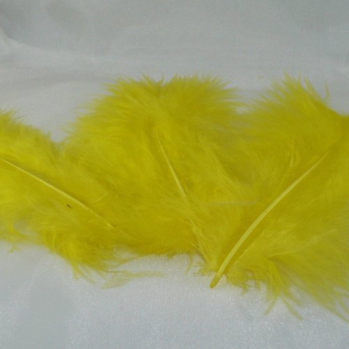 20 plumes décoratives jaune - 10 cm environ.