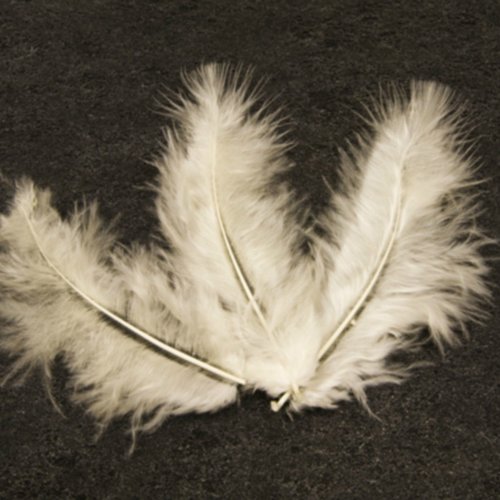 20 plumes décoratives ivoire - 10 cm environ.