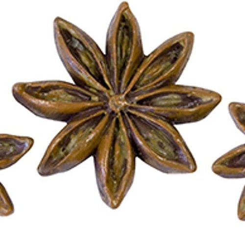 6 décorations anis étoilé en résine.