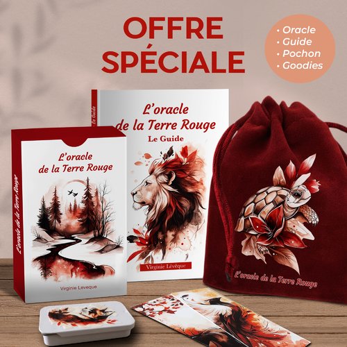 Oracle avec guide et pochon et cadeaux offerts