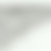 Chaîne à boules couleur argentée longueur 70 cm 