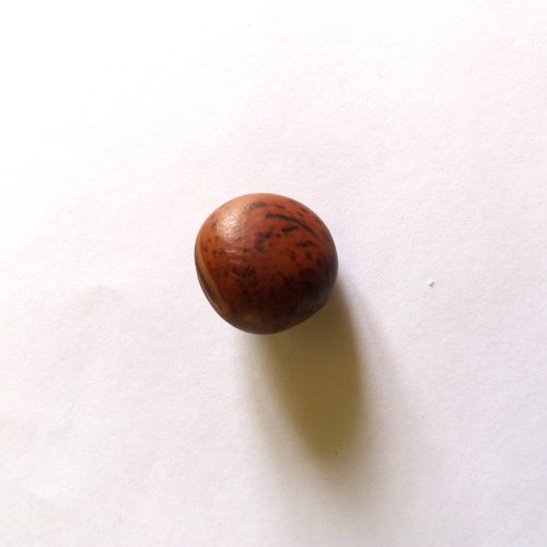 1 bouton en bois marron - ancien - 23mm - 159mp