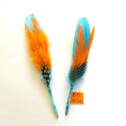 2 plumes - orange bleu et noir - 13cm de long - ab1086