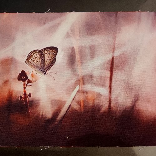 Coupon tissu - papillon sur une fleur - coton épais - 20x15cm