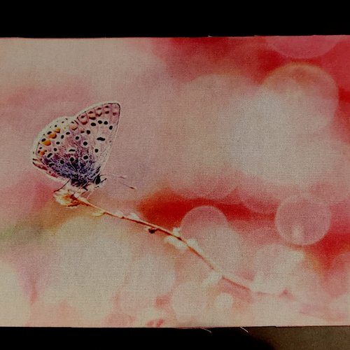 Coupon tissu - papillon sur une brindille - coton épais - 20x15cm
