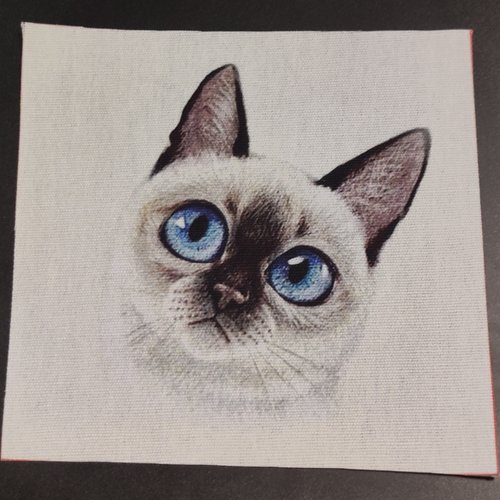 Coupon Tissu Tete De Chat Siamois Coton Epais 12x12cm Un Grand Marche