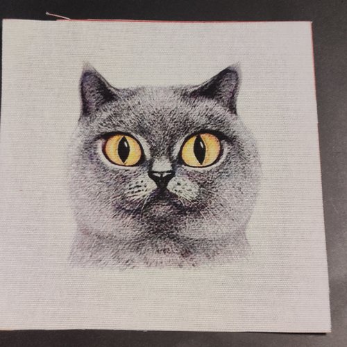 Coupon Tissu Tete De Chat Gris Coton Epais 12x12cm Un Grand Marche