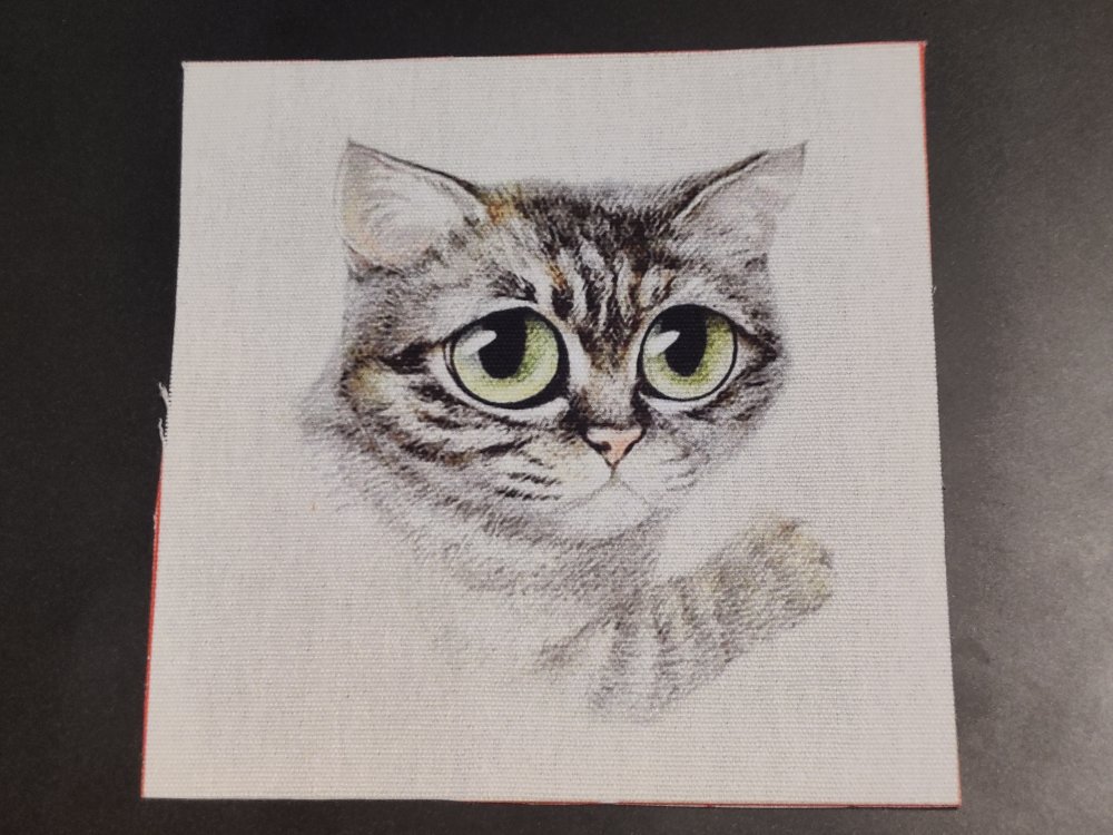 Coupon Tissu Tete De Chat Gris Coton Epais 12x12cm Un Grand Marche